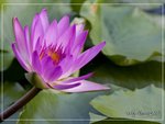 aIMG_9478