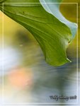 aIMG_9487