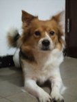 DSCF0184