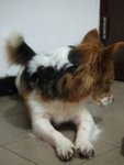 DSCF0186