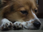 DSCF0188