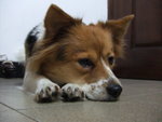 DSCF0189