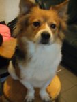 DSCF0198