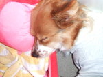DSCF0599