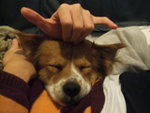 DSCF0226