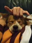 DSCF0227