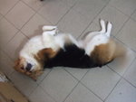 DSCF1701