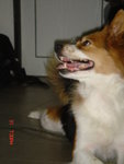DSC03050
