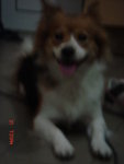 DSC03054
