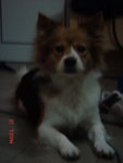 DSC03055