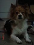 DSC03056