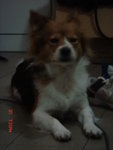 DSC03057