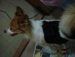 DSC03060