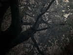 IMG_2880a