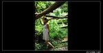 Beatrice_01