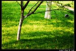 Travel_02