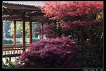 Travel_03