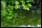 Travel_04