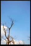 Xixi_02