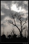 Xixi_04
