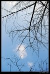Xixi_05