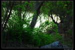 Xixi_09