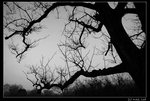 Xixi_10
