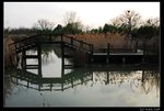 Xixi_14