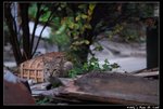 Cat_05
