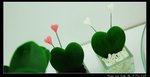 A&S_0005