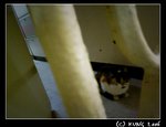 060628