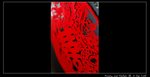 S&C_298
