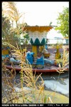 Sharp_Island_02