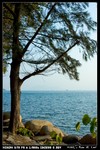 Sharp_Island_03