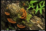 Miscellaneous_01