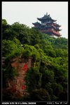 Miscellaneous_006