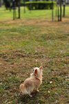DSC_0041