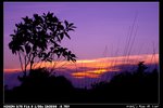 Sunset_001