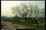 Landscape_03