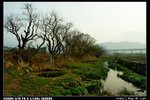 Landscape_04