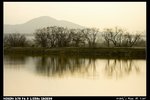 PondSide_03