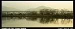 PondSide_04