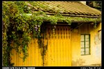 Roof_02