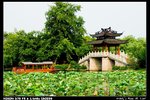 XiHu_001