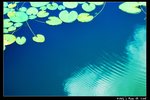Pond_01