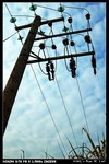 WirePole_01