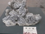 R0020817