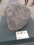 R0020819
