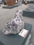 R0020823