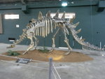R0020855